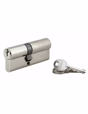 Cylindre de serrure double entrée SA, 35x45mm, anti-arrachement, nickel, vis 50mm 3 clés – THIRARD