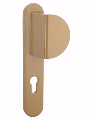 Poignée Targa A2P pour porte palière, réversible, or – THIRARD