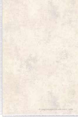 Papier peint expansé sur intissé Uni L.10.05 x l.0.53 m.  – Réf. AS-388331
