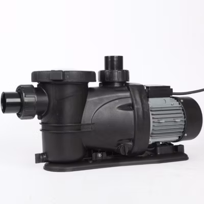 Pompe 800 W pour filtration 20m3/h