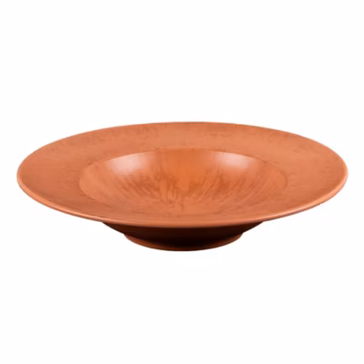 Assiette à pâtes Onyx 27 cm Terracotta (lot de 6)