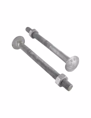 Boulon (vendu avec Ecrou) TRCC JAPY tête ronde collet carré M10X260 Filetée sur 100 Classe 6.8 Forte tenue – 1 pièce