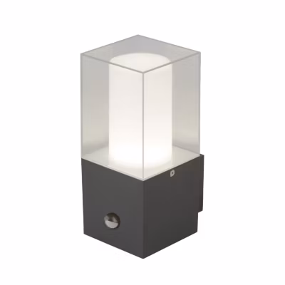 Applique murale exterieur, 1 lumiere, acier inoxydable, gris foncé ,