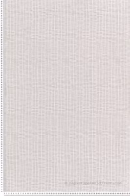 Papier peint vinyle sur intissé Contemporain L.10.05 x l.0.53 m.  – Réf. LTC-11230603