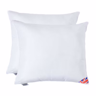 Lot de 2 oreillers en microfibre, 60 x 70 cm – HOMESCAPES
