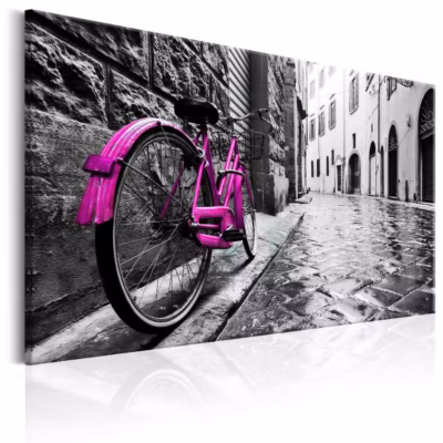 Tableau Vintage Vintage Pink Bike 60×40 cm