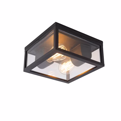 Plafonnier industriel noir IP44 2 lumières – Charlois