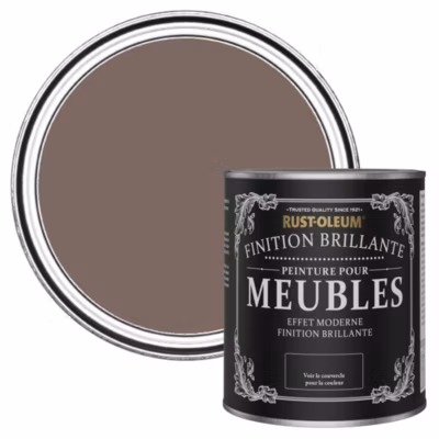 Peinture Marron pour Meubles, Finition Brillante – RUST-OLEUM – Torrent 750ml