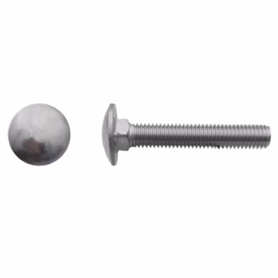 100 Vis Tête Ronde Collet Carré TRCC 8 x 60 mm – DIN 603 – Inox A2 – D-Work