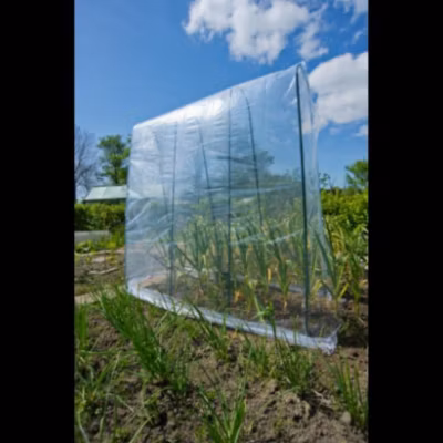 10 x arceaux de H1,80m pour tomates – Outside Living