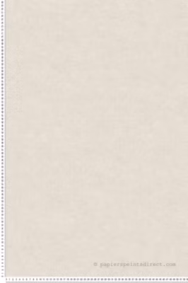 Papier peint vinyle sur intissé Uni L.10.05 x l.0.53 m.  – Réf. 36721-7
