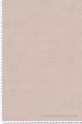 Papier peint vinyle sur intissé Uni L.10.05 x l.0.53 m.  – Réf. LTC-51233117