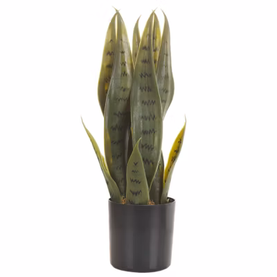 Plante artificielle SNAKE PLANT 40 cm Vert