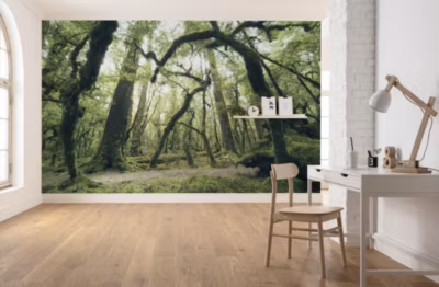 Papier peint panoramique sur intissée de Komar – Stefan Hefele Ancient Green – Taille: 450 x 280 cm