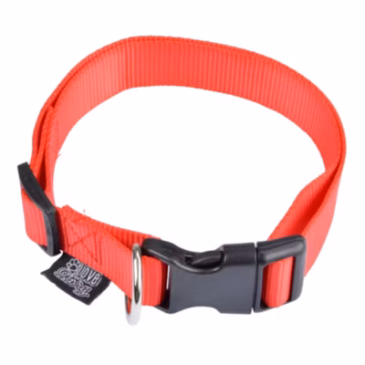 Collier Réglable Chien « Essentiel » 25-35cm Rouge
