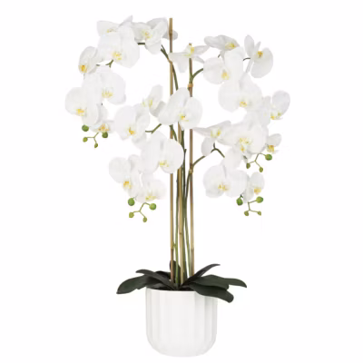 Orchidée artificielle toucher naturel 100cm