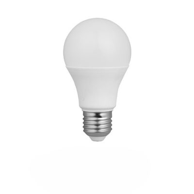 Ampoule LED classique 10W E27 12-24V 3000K