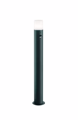 Potelet de jardin à détecteur de présence Hoosic 80 cm